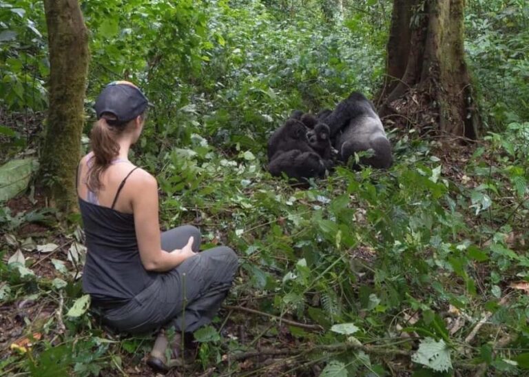 Volcanoes National Park: One-Day Bisoke Hiking Adventure - The Sum Up