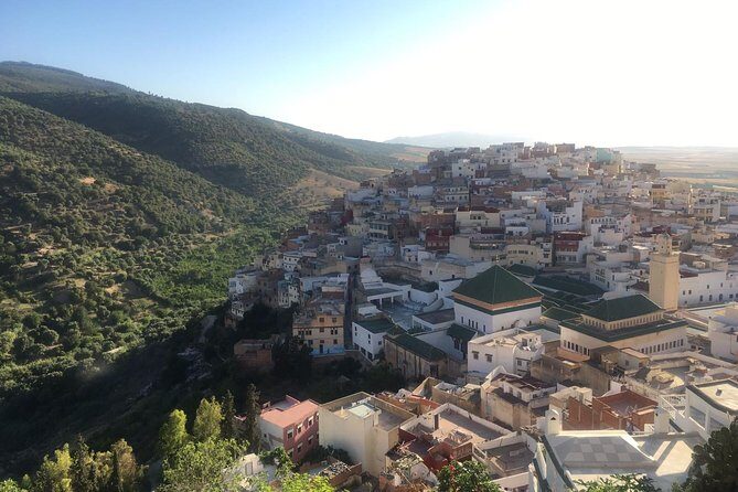 Volubolus Day Trip From Fes - Overview of the Experience
