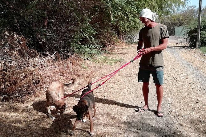 Volunteering with animals in Sao Vicente! - Frequently Asked Questions
