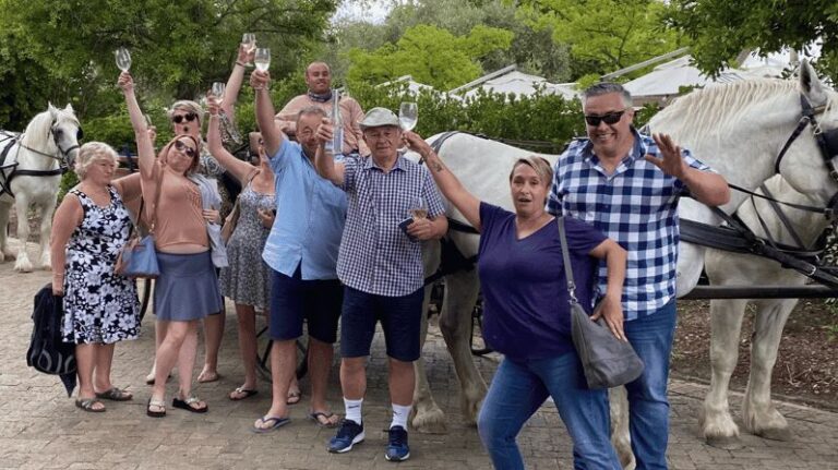 Vrede en Lust Wine Estate: 1H30M Carriage Ride & Wine Taste - Detailed Breakdown: What to Expect