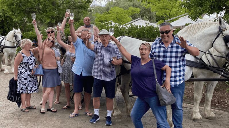 Vrede en Lust Wine Estate: 1H30M Carriage Ride & Wine Taste - Detailed Breakdown: What to Expect