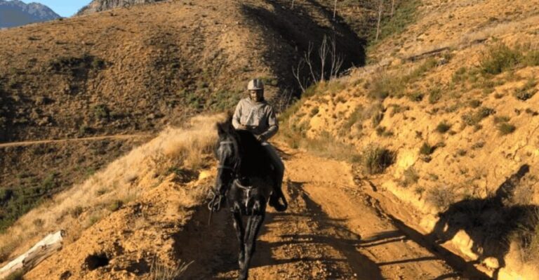 Vrede en Lust Wine Estate: 1h30m Horse Trail Ride - Practical Details and What to Pack