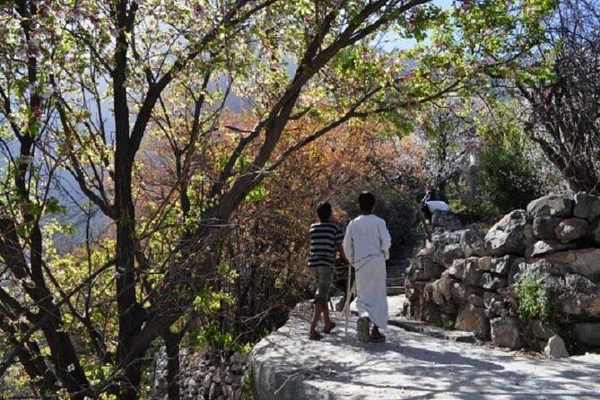 Wadi Abyadh and Wekan Village (Day trip) 4WD :Muscat Tours - Who Should Consider This Tour?