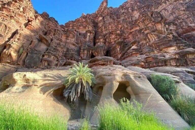 Wadi Al Disah Day Tour From Al Ula - The Value and Practicalities