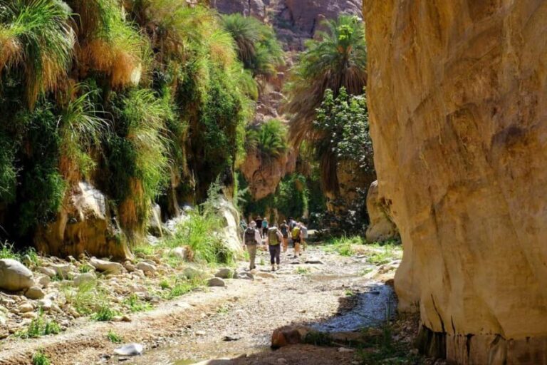 Wadi Ghuweir Full-Day Hike with Local Guide & Lunch. - The Lunch in the Heart of Nature