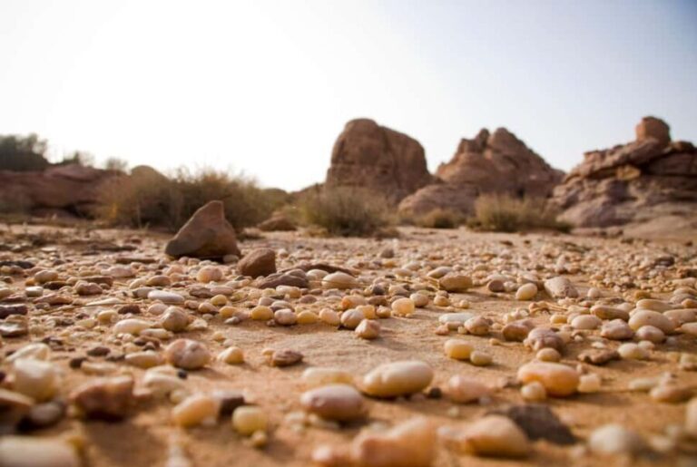 Wadi Rum: 10 Hour Jeep Tour Pass, Camel, Sandbording & Lunch - Final Thoughts: Who Will Love This Tour?