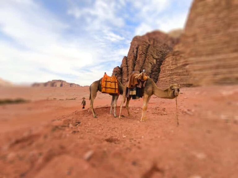 Wadi Rum: Camel Ride with tea and Bedouin Guide - What’s Included and What to Expect