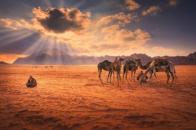Wadi Rum Experience with Petra for 03 Days - 02 Nights From Eilat Border - Who Should Consider This Tour?