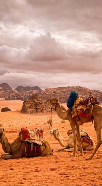 Wadi Rum: Full-Day Jeep Tour with Lunch - Is This Tour Worth the Price?