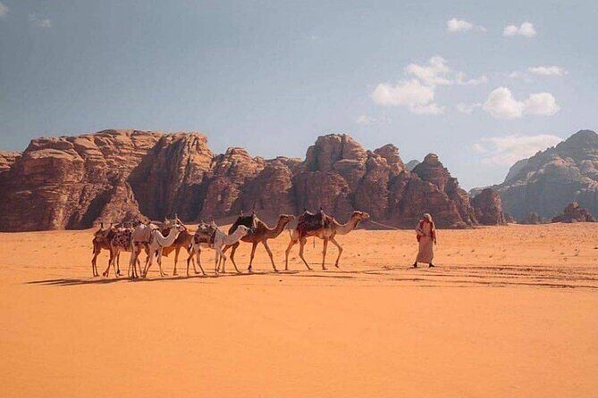 Wadi Rum Half Day From Aqaba Private Tour - An In-Depth Look at the Wadi Rum Private Tour