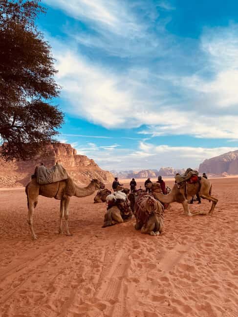 Wadi Rum: Tour Ticket w/ Guide, Meal & Stay - The Real Value: Is This Tour Worth It?