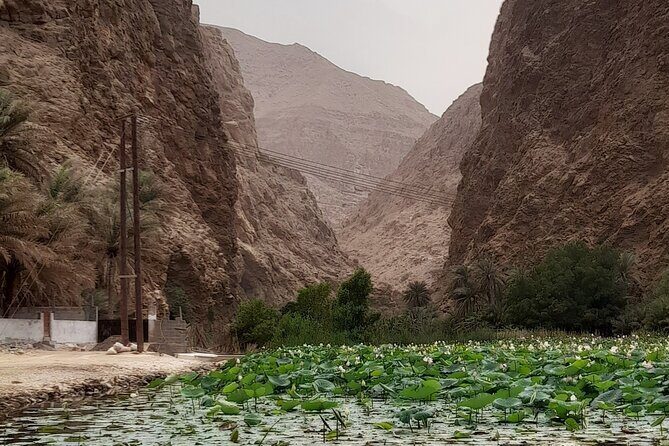Wadi Shab Expedition - Why This Tour Is a Great Choice