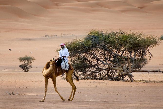 Wahiba Sands Desert with Wadi Bani Khalid Tour by 4X4 - Practical Details and What to Expect
