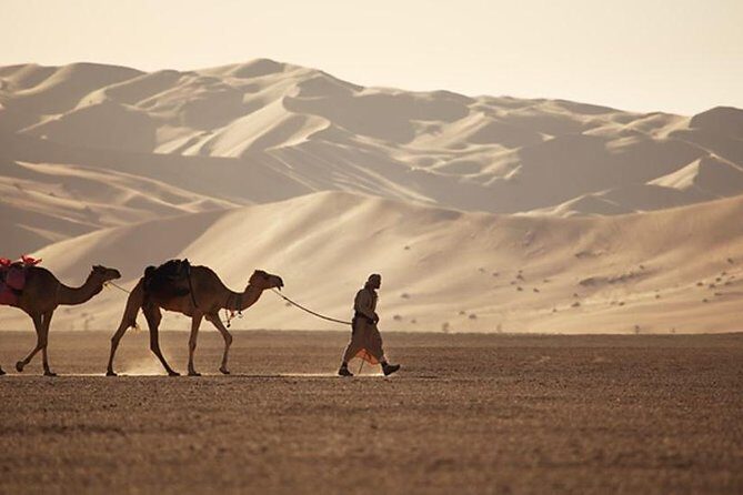 Wahiba Sands&Wadi Bani Khalid desert Safari(Muscat tours) : Private tours - The Itinerary in Detail
