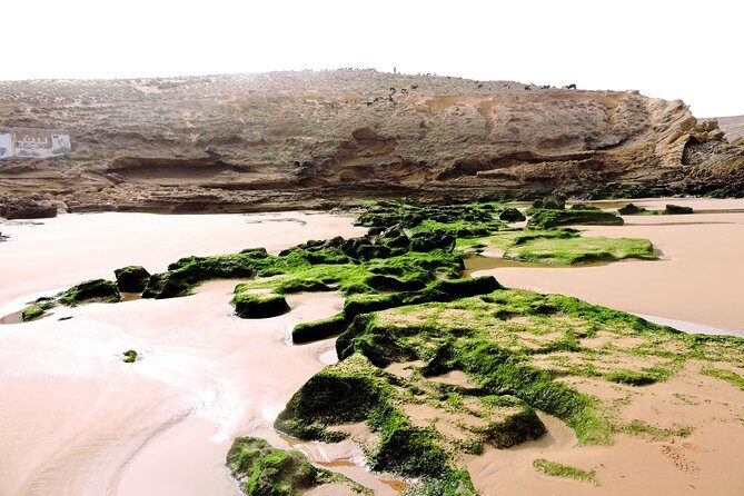 Walk between Argan Forest, Ocean & Waterfalls. 12 km - Practical Tips for a Smooth Experience