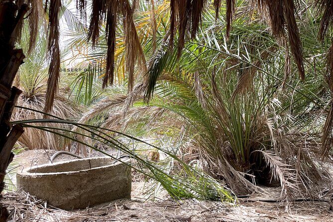 Walk In Moses' Footsteps - Tour between Tabuk and The Red Sea - Who Will Love This Tour?