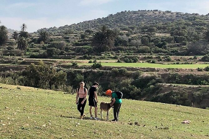 Walk to the cascade and marabout of Sidi Mbark & for a tea to Kaouki - The Practicalities of the Tour