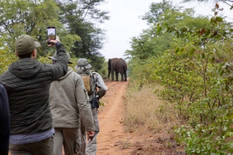 WALKING SAFARI - Itinerary Breakdown: What to Expect