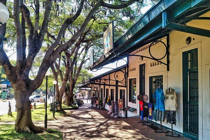 Walking Safari of Victoria Falls Town - The Sum Up: Who Will Love This Tour?