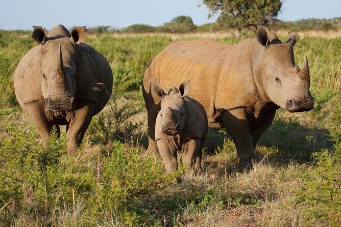 Walking Safari - Itinerary Breakdown