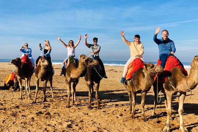 Walking Tangier Tour from ancient Kasba to Bustling Souks - The Sum Up