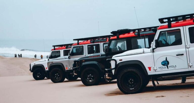 Walvis Bay: Dolphin Cruise, Pink Lakes and 4x4 Dune Drive - FAQ