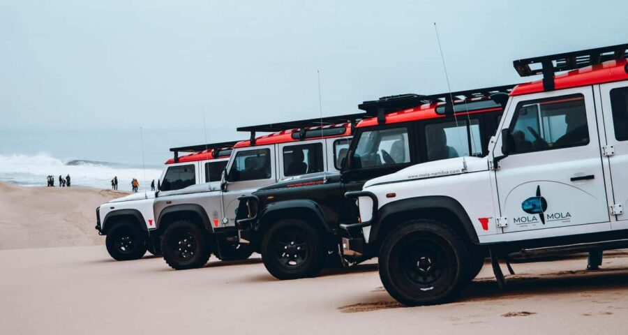 Walvis Bay: Dolphin Cruise, Pink Lakes and 4x4 Dune Drive - FAQ