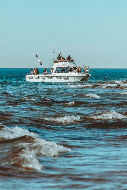 Walvis Bay: Namibian Coast Dolphin Cruise with Light Lunch - The Itinerary: What to Expect and Why It Matters