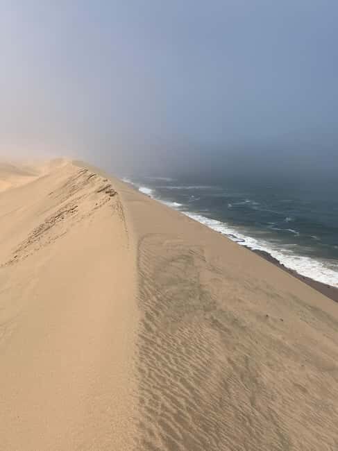 Walvis Bay: Pelican Point Seal and Sandwich Harbour Tour - Why Travelers Love This Tour