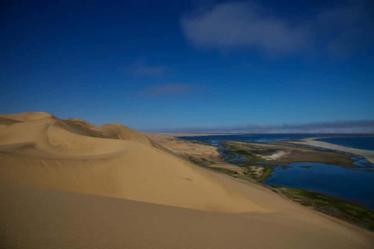Walvis Bay: Sandwich Harbour Half-Day 4x4 Scenic Excursion - Who Will Enjoy This Tour?