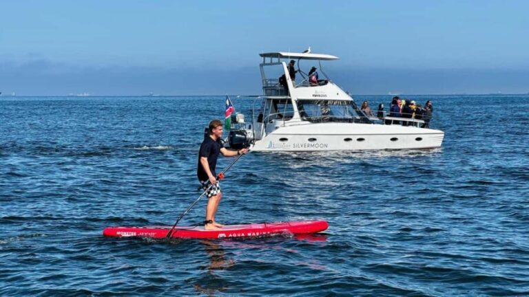 Walvis Bay: Seal Kayaking Adventure with Brunch - Brunch on the Beach: A Perfect Finish