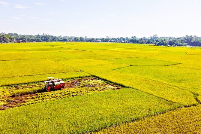 Warriors Legacy and Rivers Harmony: Cu Chi & Mekong 1 Day - Transition to the Mekong Delta