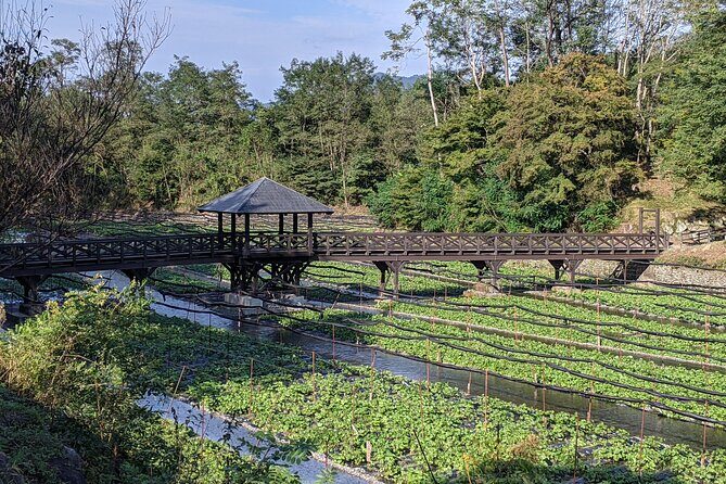 Wasabi Farm Walking Tour & Lunch - The Practicalities: What to Expect