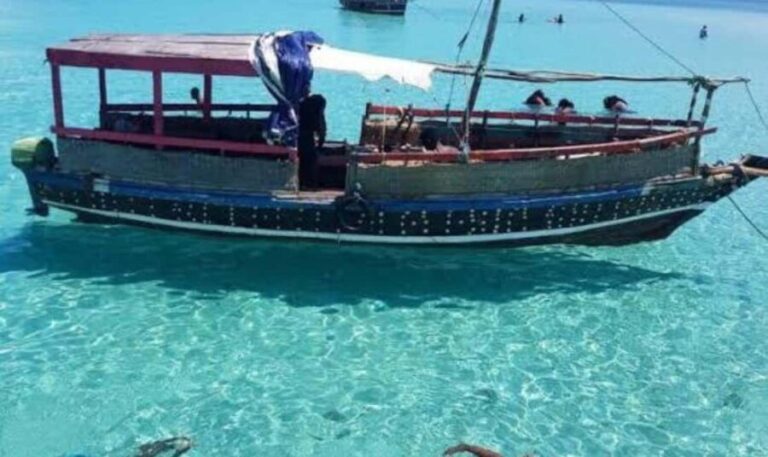 Wasini:, Swimming with the Dolphins - An In-Depth Look at the Itinerary and Experience