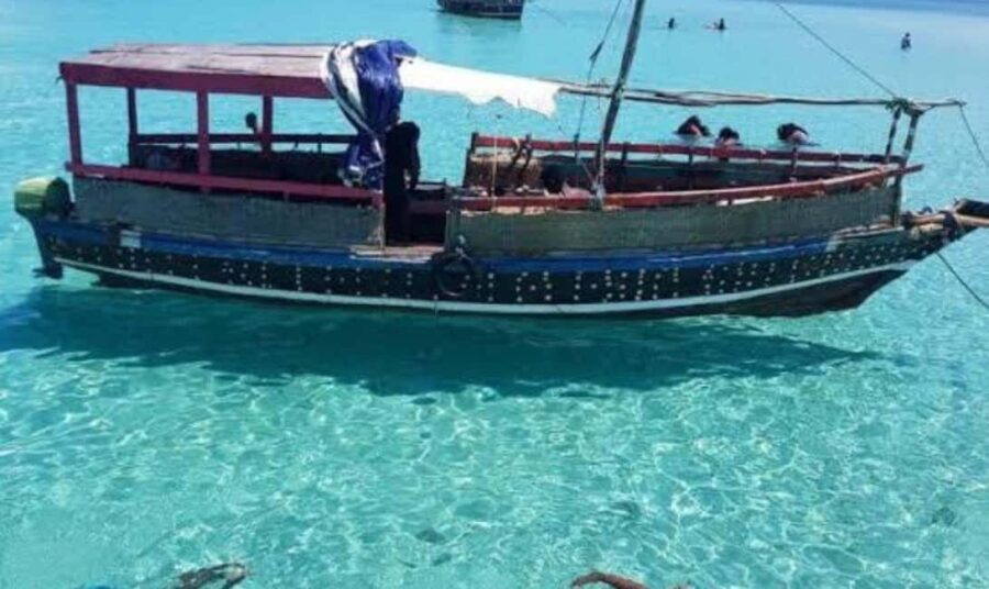 Wasini:, Swimming with the Dolphins