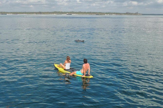 Watamu Marine Park & Sudi Island Mangrove Forest Canoe Ride.With sea food lunch - Key Points