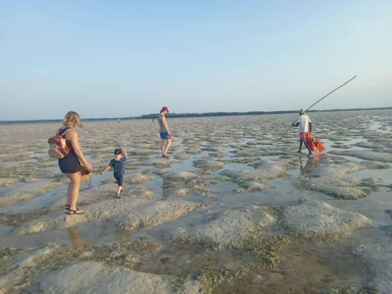 Watamu: Sunset Mangrove Canoe Tour with Coconut Drink - Practical Details and What To Expect