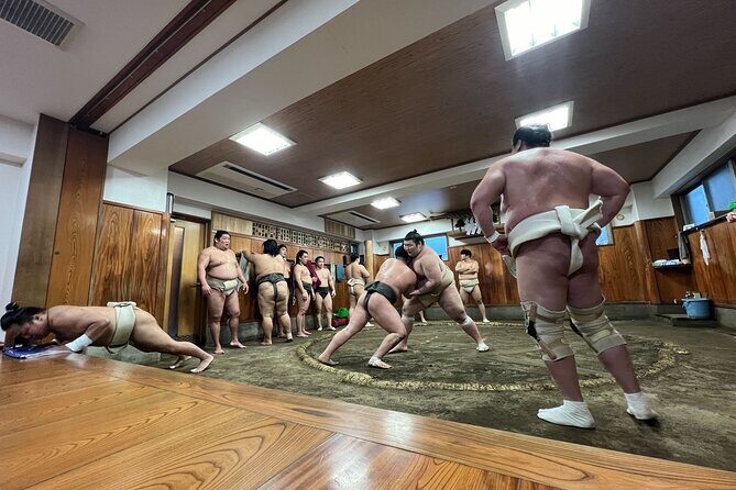 Watch the Real Sumo Morning Practice tour at Yokozuna stable - Who Will Love This Tour?