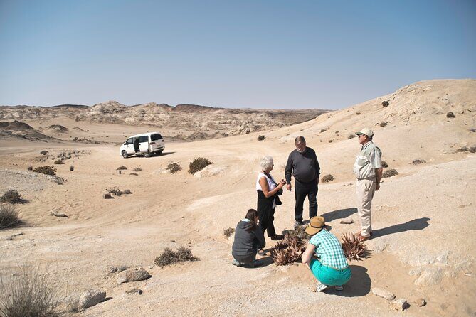 Welwitschia Tour from Swakopmund - What to Expect on the Welwitschia Tour from Swakopmund