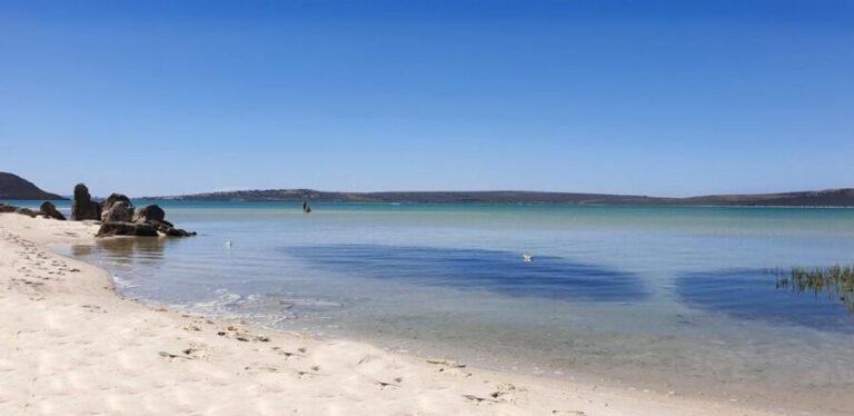 West Coast National Park: Private Day Tour. - The Value of a Private Guide: Jim’s Personal Touch