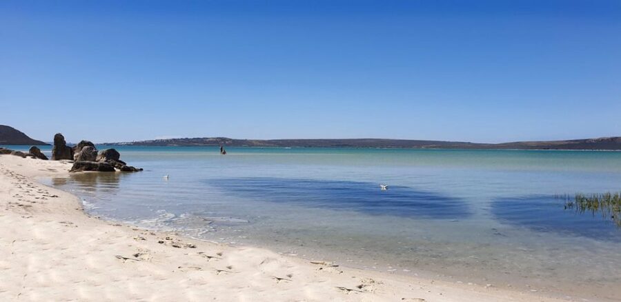 West Coast National Park: Private Day Tour