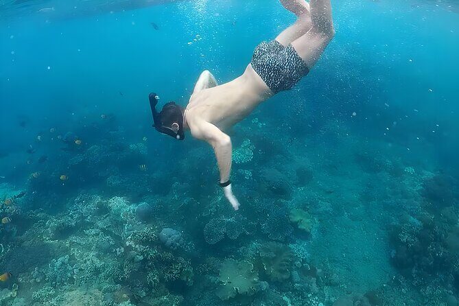 West Nusa Penida Island Snorkeling Tour - From Bali Island - Who Is This Tour Best For?