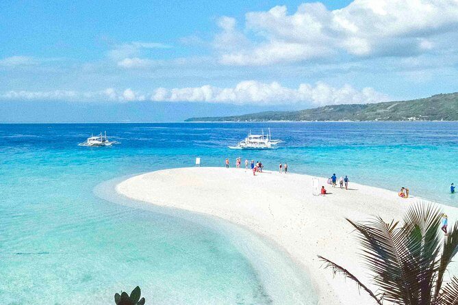 Whale Shark Watching with Sumilon Sandbar and Kawasan Falls Tour - Who Will Enjoy This Tour?