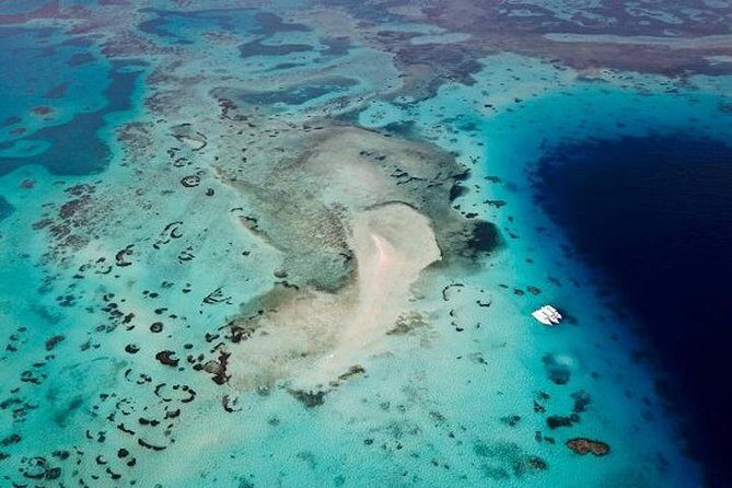 White Island & Ras Mohamed National Park Snorkeling Boat Trip - What to Expect in Practice