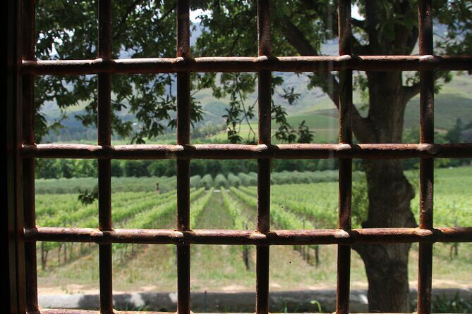 Wijntoer - Reserve tour with a winemaker! - The Value Proposition