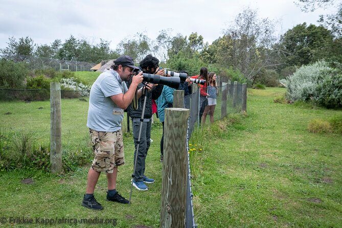 Wild Cat Experience Tour