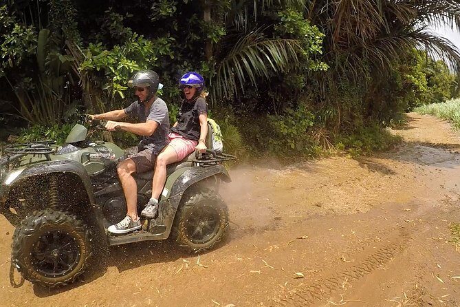 Wild Southern 18km - What to Expect on the Itinerary