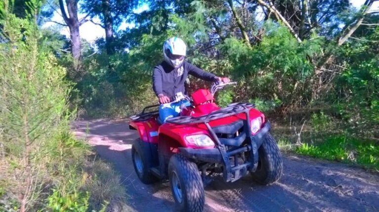 WILDERNESS GARDEN ROUTE QUAD BIKE FUN RIDE - Who Will Love This Experience?