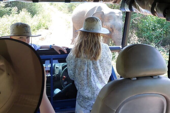 Wildlife Safari Yala National park - Who Will Love This Tour?