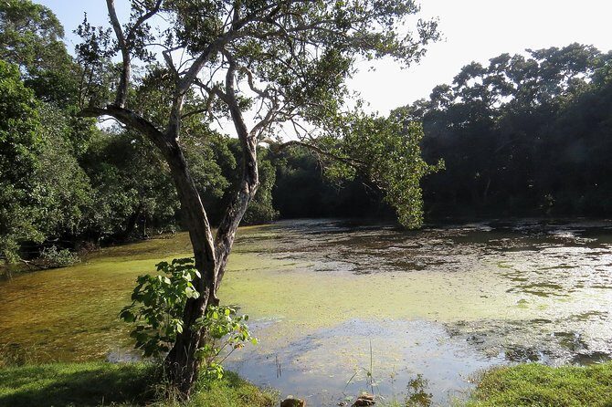 Wilpattu National Park Entrance Ticket with Private Safari - Final Thoughts: Is It Worth It?